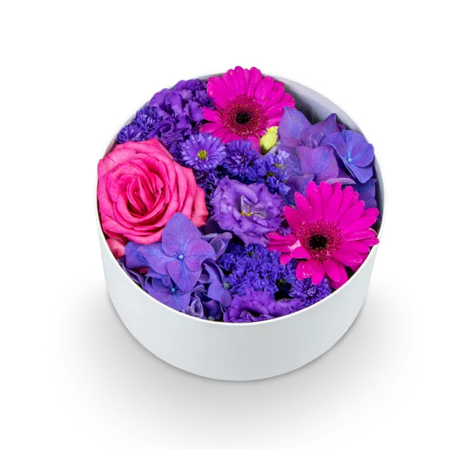 Box fialových květin